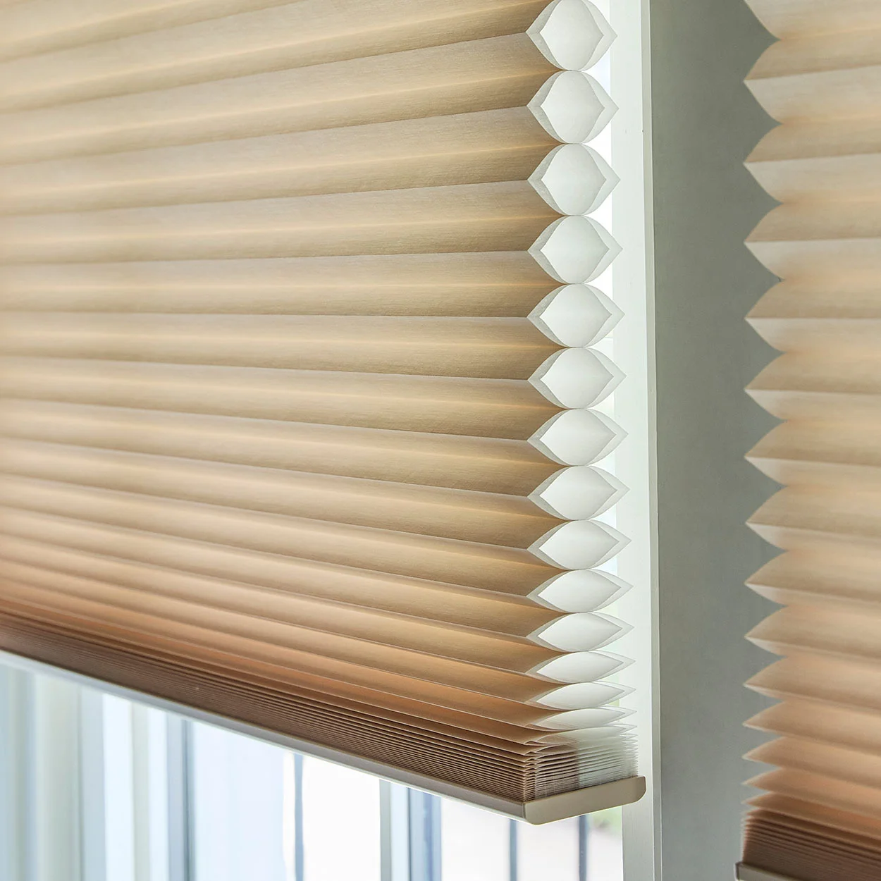 Plaza ofis honeycomb perde